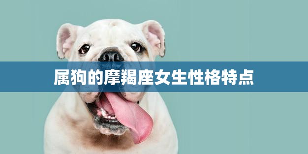 属狗的摩羯座女生性格特点(冷静沉着坚韧不拔)  第3张