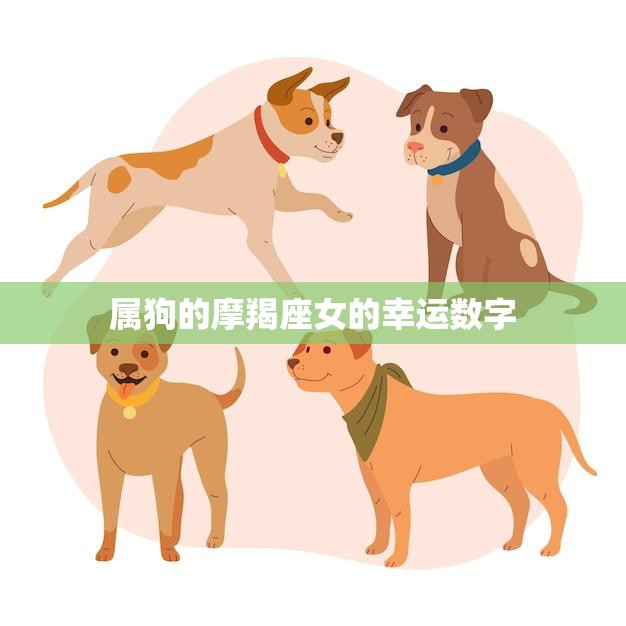 属狗的摩羯座女的幸运数字(揭秘带你探寻命运密码)  第3张
