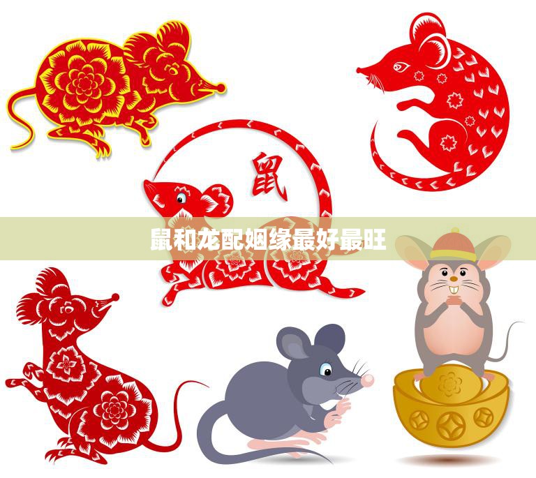 鼠和龙配姻缘最好最旺(传统文化中的黄金搭配)  第3张