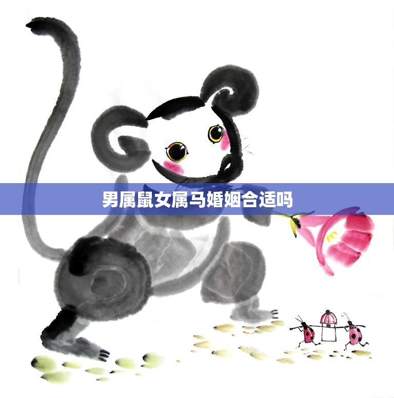 男属鼠女属马婚姻合适吗(星座配对分析)  第3张