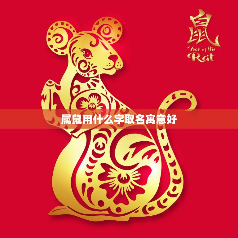 属鼠用什么字取名寓意好(如何选择适合鼠年宝宝的名字)  第3张