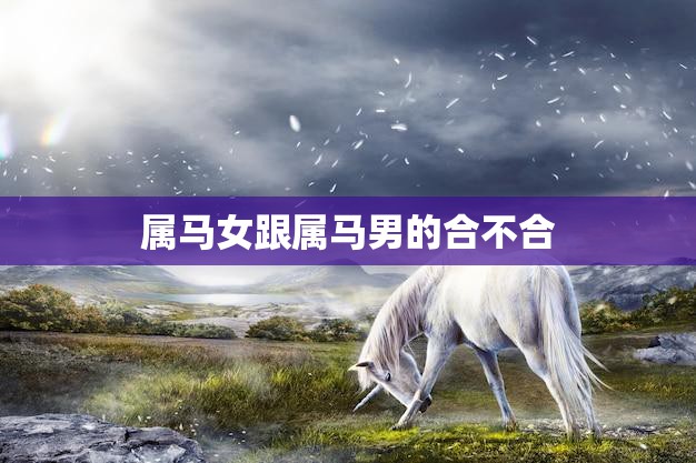 属马女跟属马男的合不合(星座配对分析)  第3张