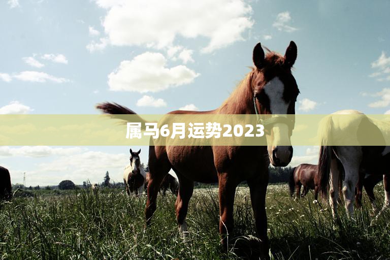 属马6月运势2023(事业顺利财运亨通)  第3张