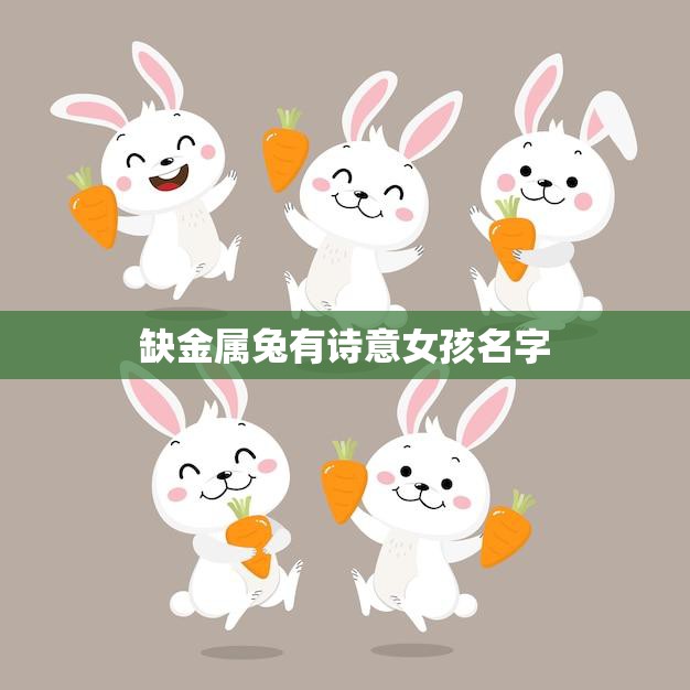缺金属兔有诗意女孩名字(寓意深刻的命名艺术)  第3张