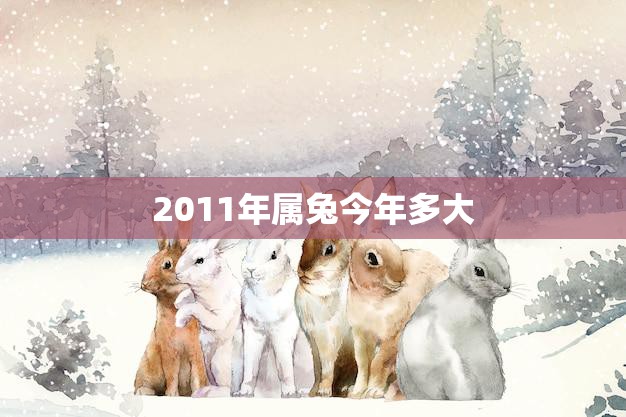 2011年属兔今年多大(属兔人的年龄计算方法)  第3张