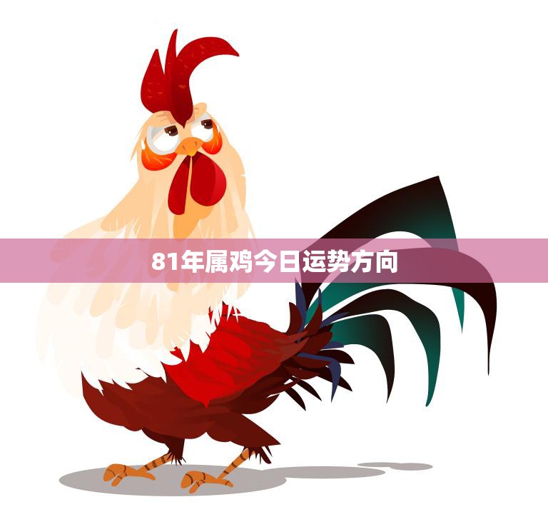 81年属鸡今日运势方向(幸运之星高照财运亨通)  第3张
