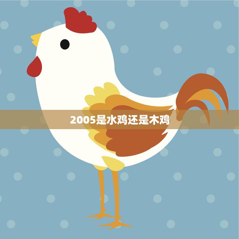 2005是水鸡还是木鸡(揭秘十二生肖中的谜团)  第3张
