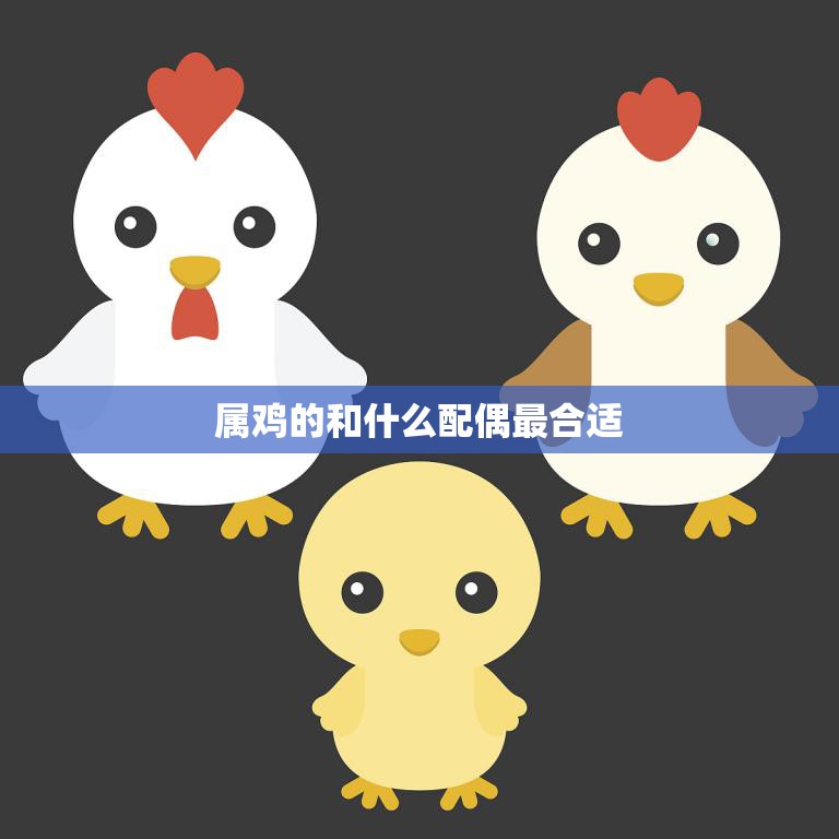属鸡的和什么配偶最合适(如何选择最佳伴侣)  第3张