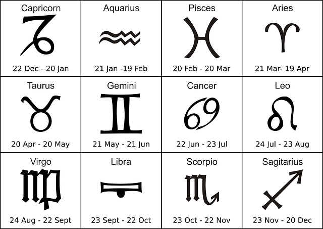 在哪看陶白白本周星座运势(最新预测)  第2张