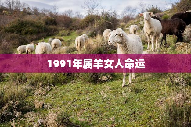 1991年属羊女人命运(如何把握自己的未来)  第3张