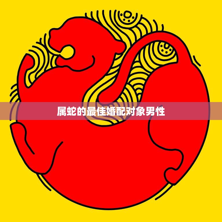 属蛇的最佳婚配对象男性(如何选择理想的伴侣)  第3张