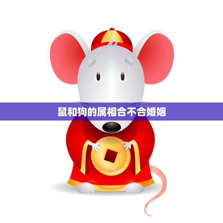 鼠和狗的属相合不合婚姻(解析婚姻中的命运因素)  第3张