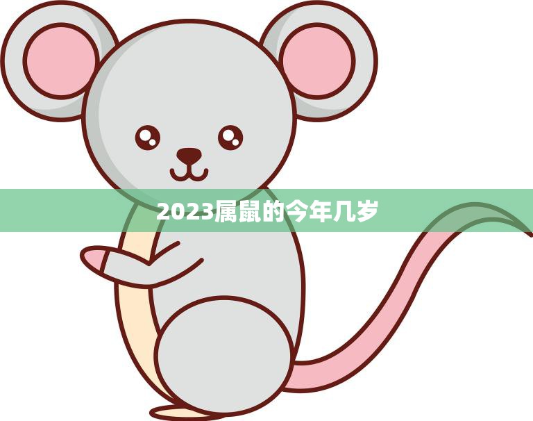 2023属鼠的今年几岁(如何计算属鼠人的年龄)