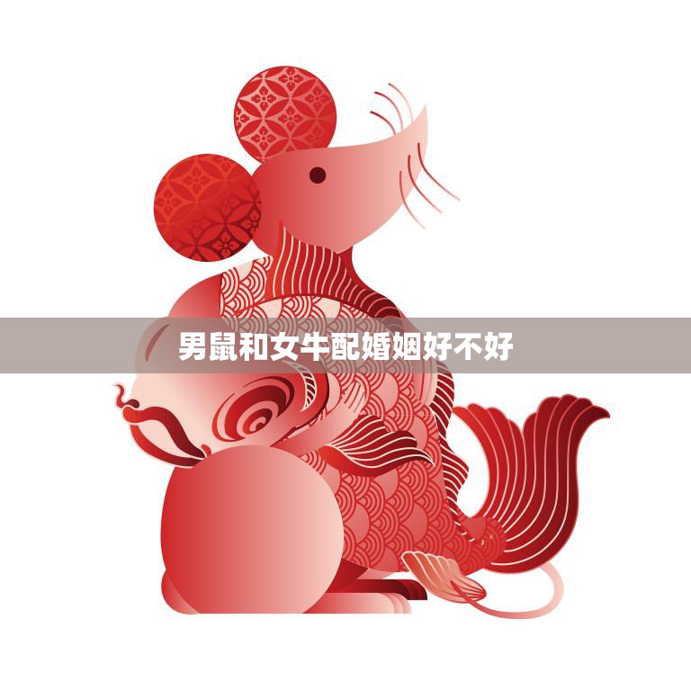 男鼠和女牛配婚姻好不好(这样的婚姻是否可行)  第3张