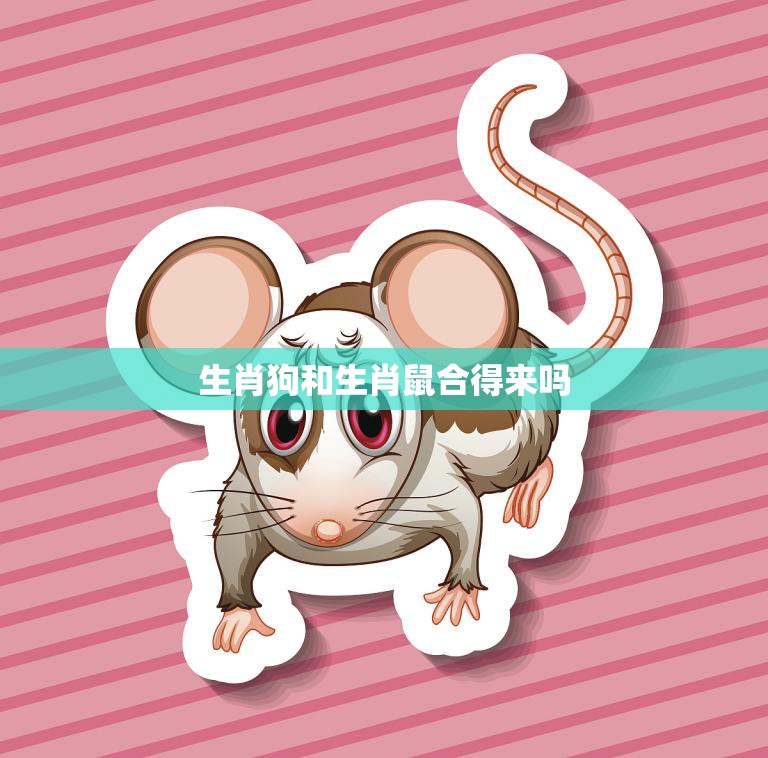 生肖狗和生肖鼠合得来吗(十二生肖中最佳CP)  第3张