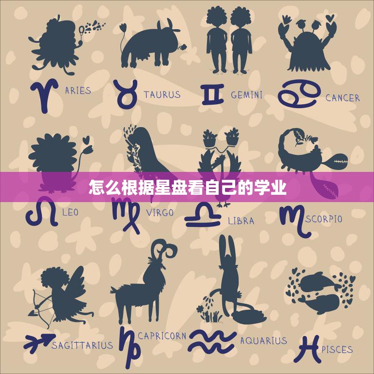 怎么根据星盘看自己的学业(探究学业运势)  第3张