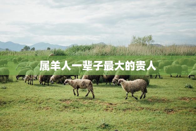 属羊人一辈子最大的贵人(谁是你的守护神)  第3张