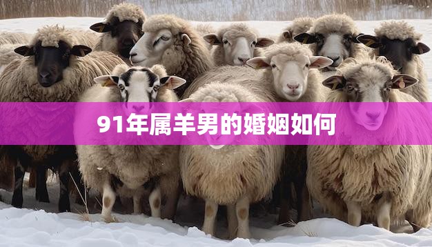 91年属羊男的婚姻如何(幸福长存的秘诀)  第3张