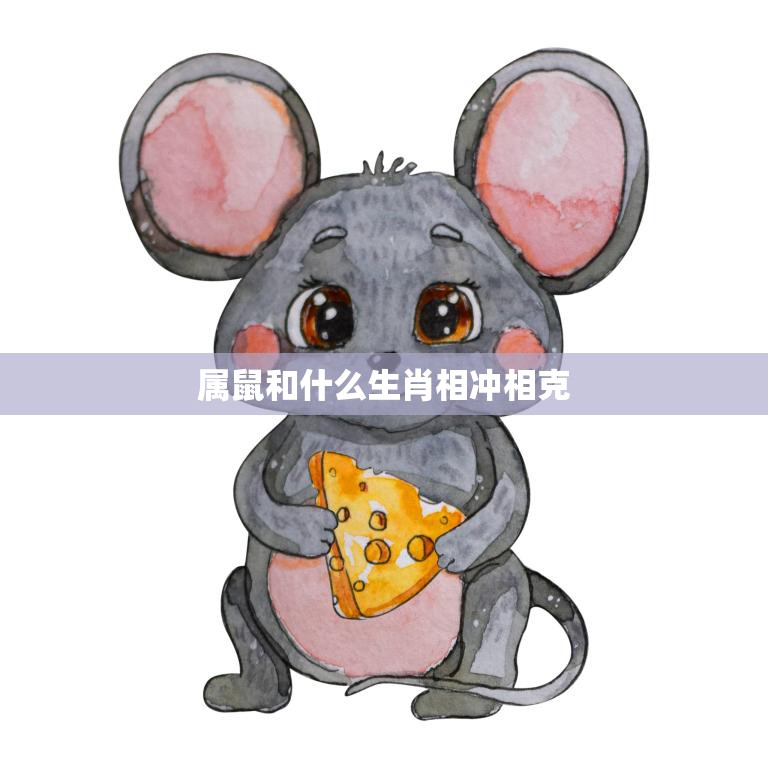 属鼠和什么生肖相冲相克(你知道吗)  第3张