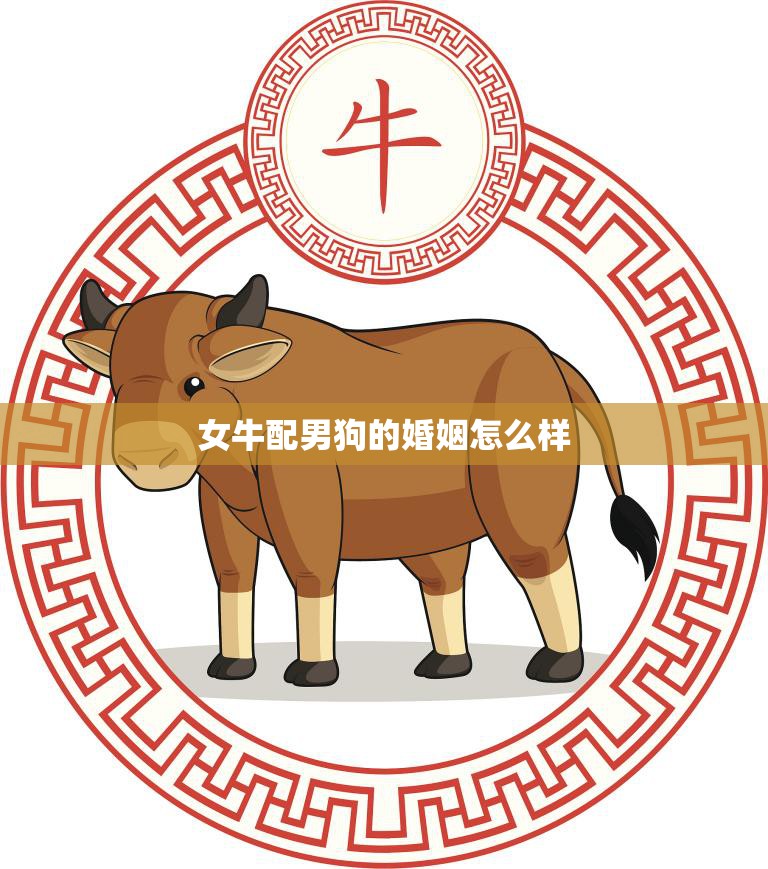 女牛配男狗的婚姻怎么样(幸福吗)  第3张
