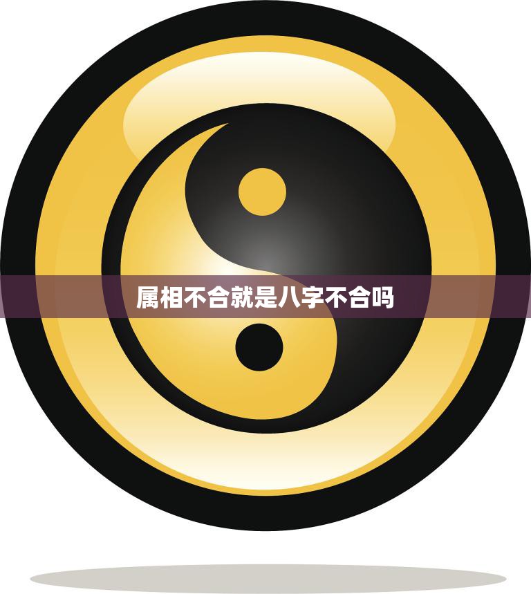 属相不合就是八字不合吗(揭秘属相和八字的关系)  第3张