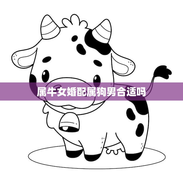 属牛女婚配属狗男合适吗(星座专家揭秘真相)  第3张