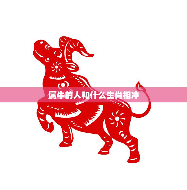 属牛的人和什么生肖相冲(十二生肖相冲表解析)  第3张