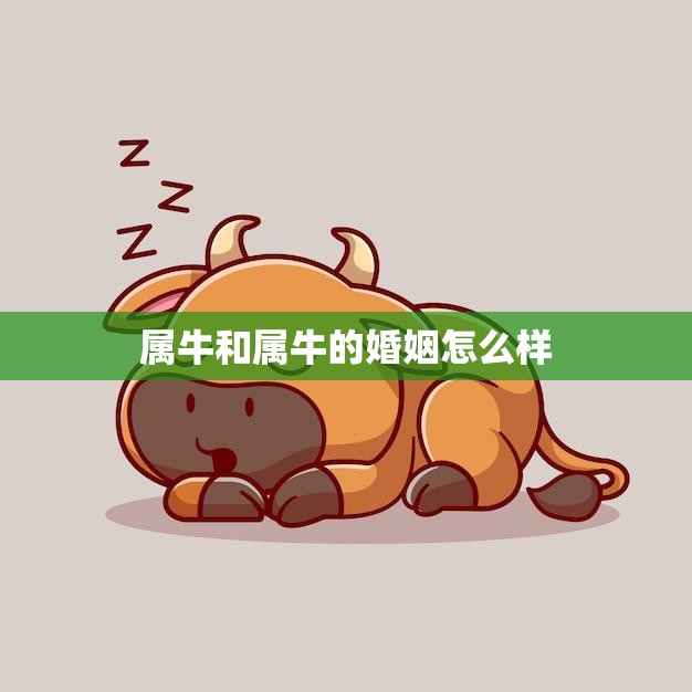 属牛和属牛的婚姻怎么样(幸福还是灾难)  第3张