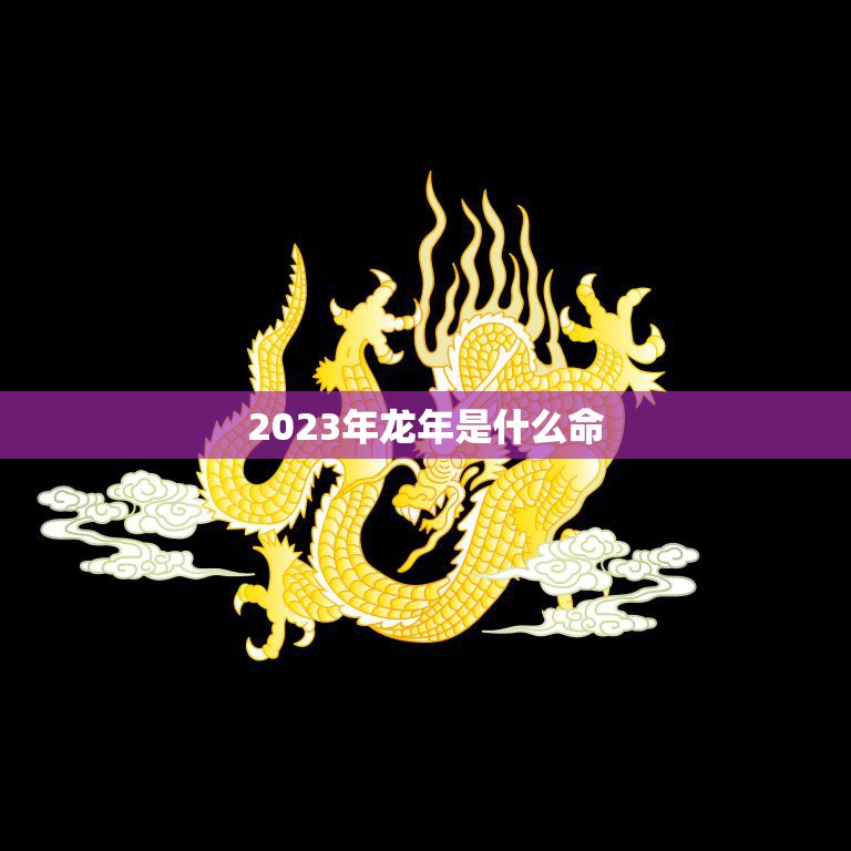 2023年龙年是什么命(揭秘属龙人的运势如何)  第3张