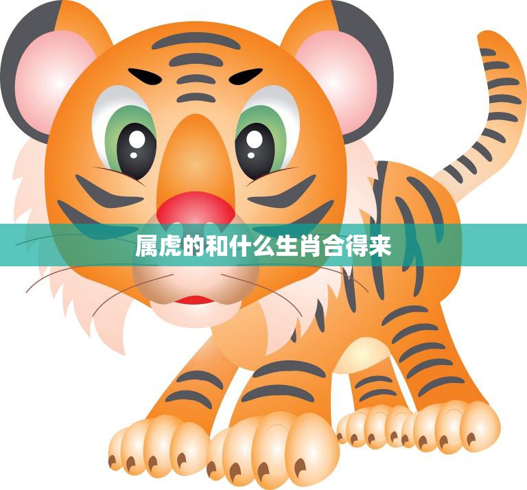 属虎的和什么生肖合得来(最佳配对大揭秘)  第3张