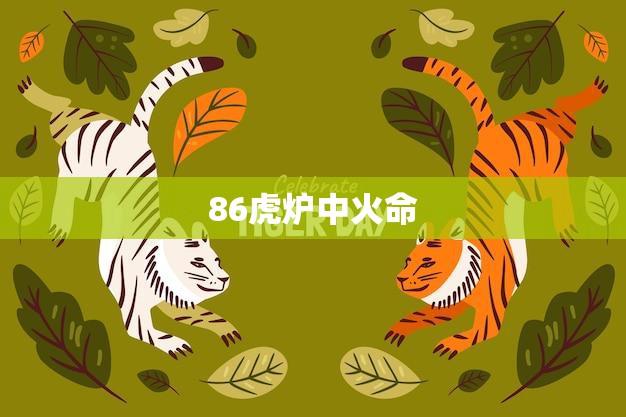 86虎炉中火命(解密揭秘古代神秘符号的含义)  第3张