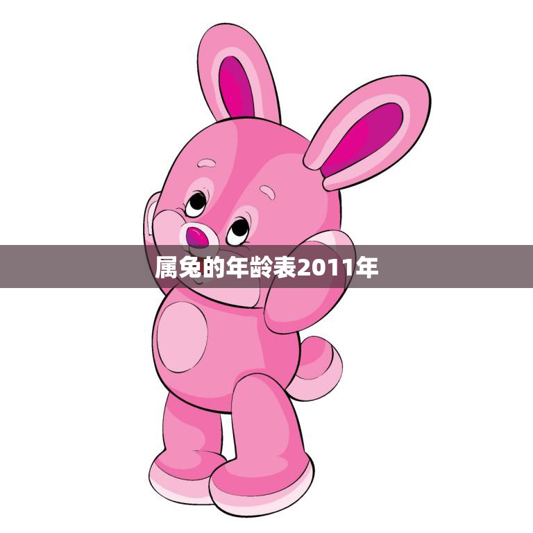 属兔的年龄表2011年(如何计算兔年出生的人的年龄)  第3张
