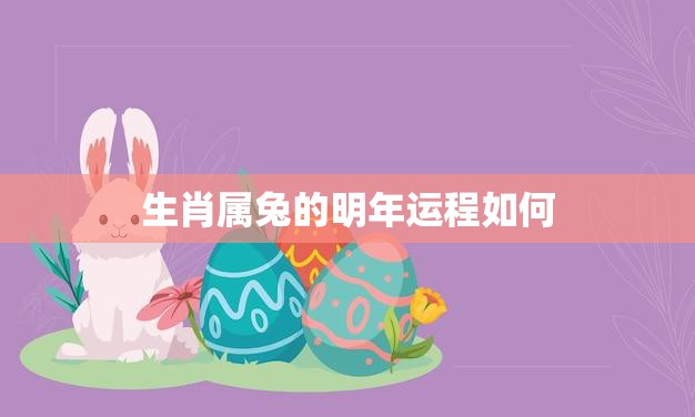 生肖属兔的明年运程如何(2023年兔子运势大揭秘)  第3张