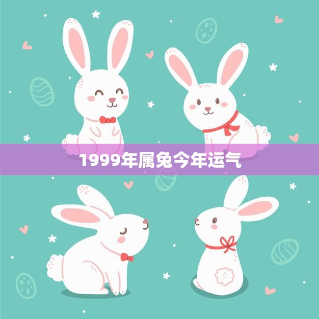 1999年属兔今年运气(兔年大吉财运亨通)  第3张