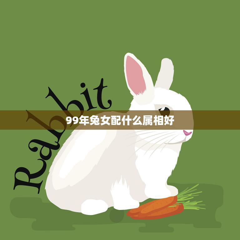 99年兔女配什么属相好(如何选择最佳配偶)  第3张