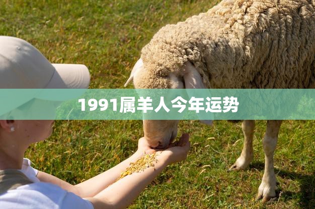 1991属羊人今年运势(财运亨通事业顺利感情稳定)  第3张