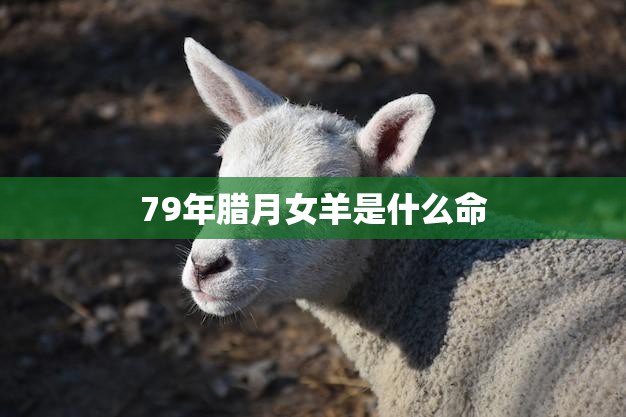 79年腊月女羊是什么命(解析命运多舛还是贵人相助)  第3张