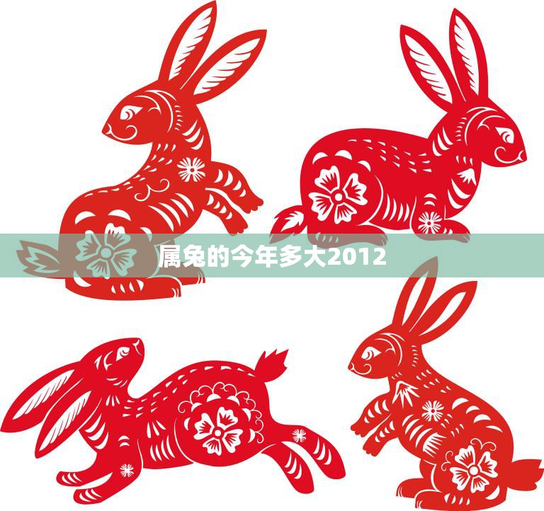 属兔的今年多大2012(如何算出你的年龄)  第3张