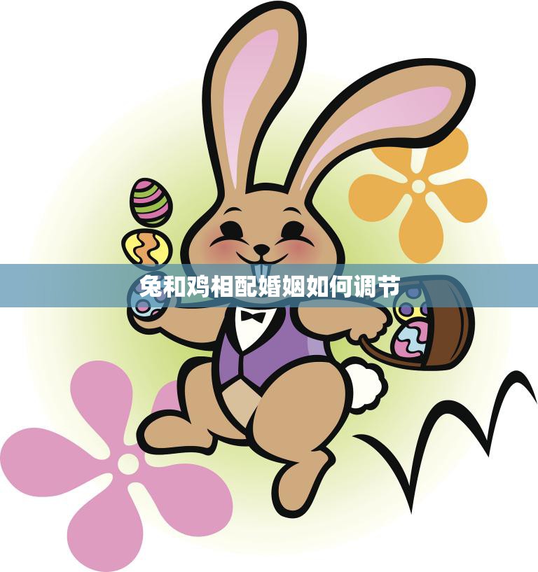 兔和鸡相配婚姻如何调节(如何让两个性格迥异的动物和谐相处)  第3张