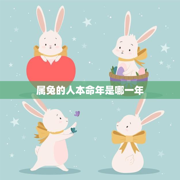 属兔的人本命年是哪一年(兔年生肖解析你的本命年是哪一年)  第3张