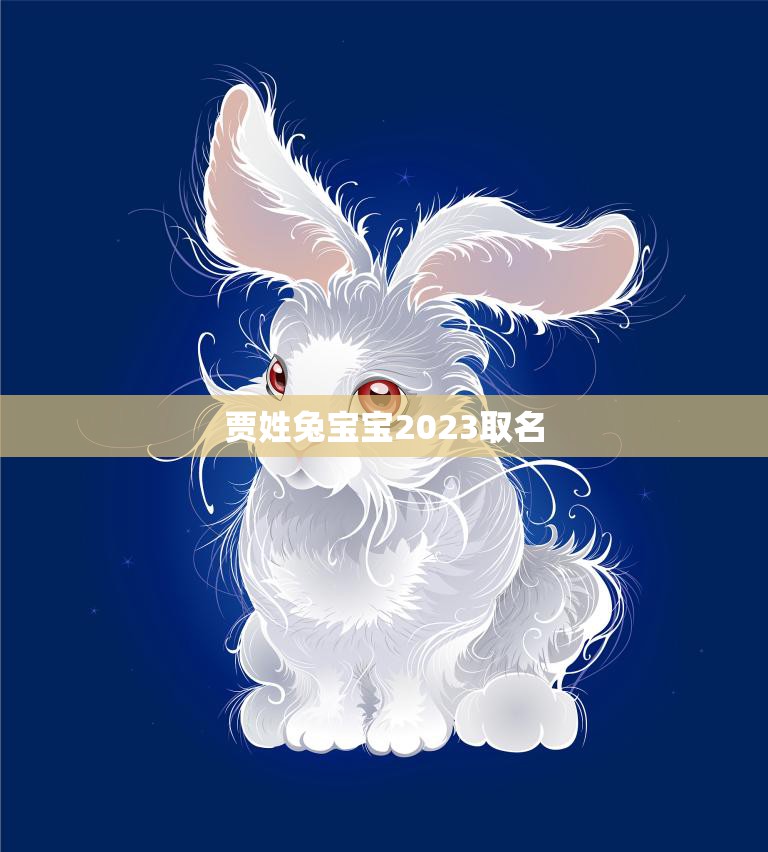 贾姓兔宝宝2023取名(如何选择最佳的名字)  第3张