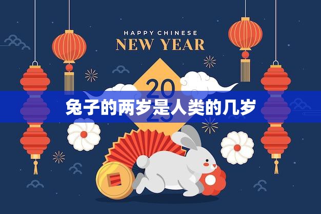 兔子的两岁是人类的几岁(解密兔子的年龄计算方法)  第3张