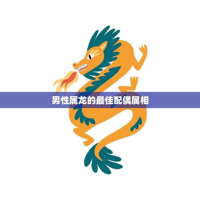 男性属龙的最佳配偶属相(揭秘与哪些属相最般配)  第3张