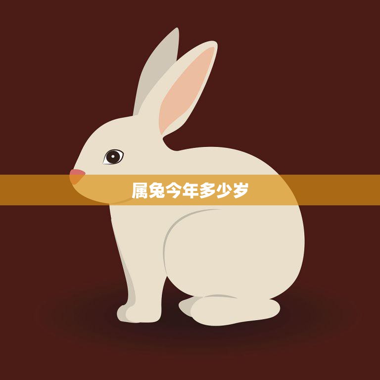 属兔今年多少岁(虚岁)(如何计算)  第3张