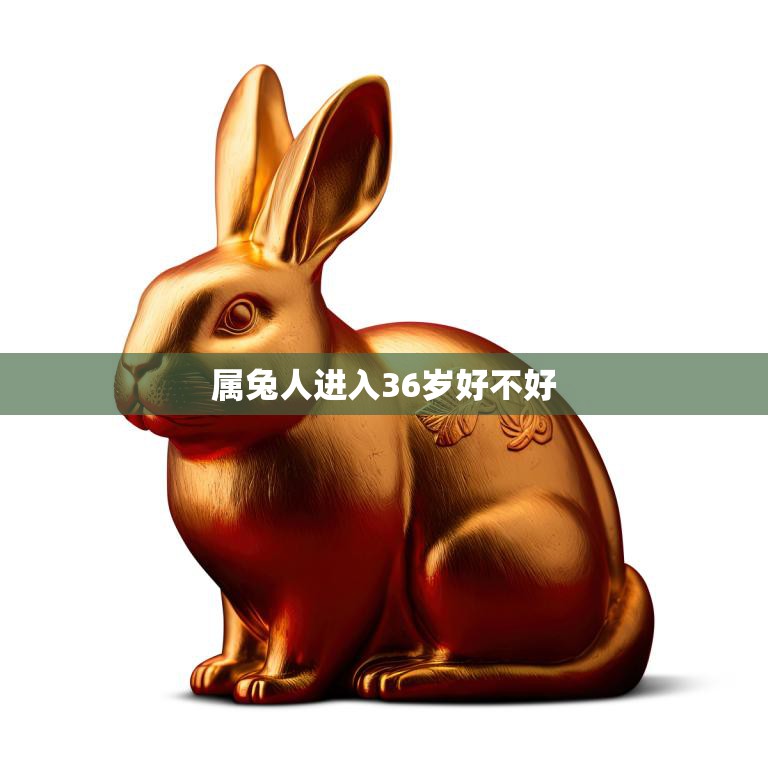 属兔人进入36岁好不好(如何应对人生中的转折点)  第3张