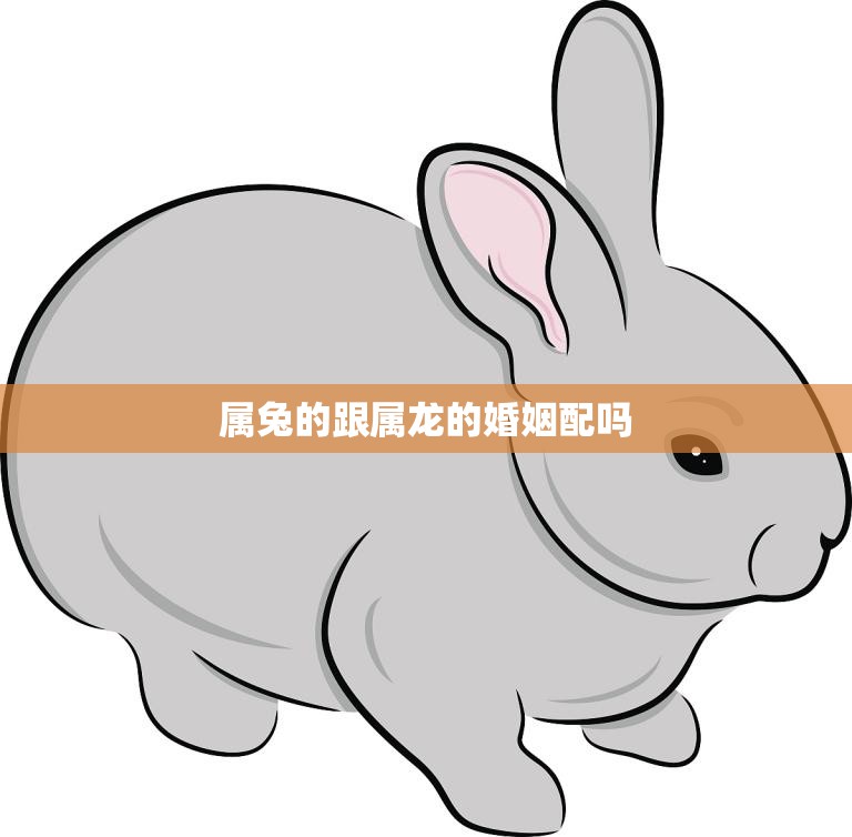 属兔的跟属龙的婚姻配吗(星座专家揭秘)  第3张