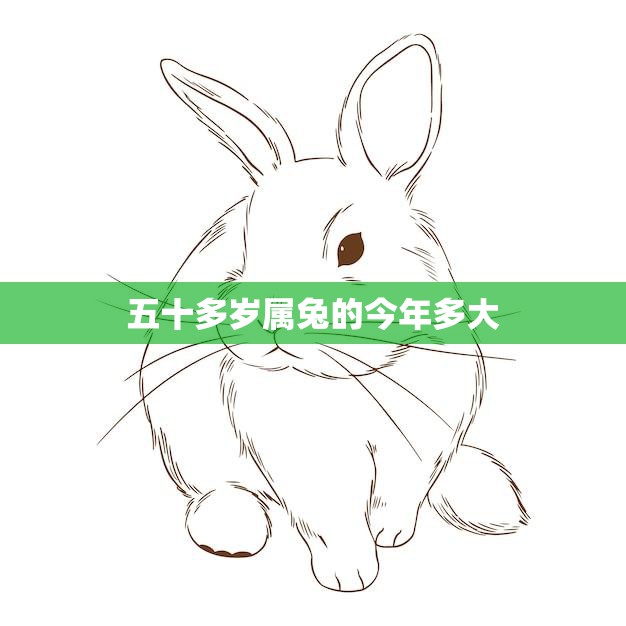 五十多岁属兔的今年多大(如何保持健康长寿)  第3张
