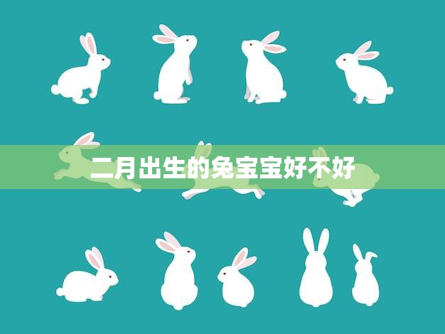 二月出生的兔宝宝好不好(优缺点一览)  第3张