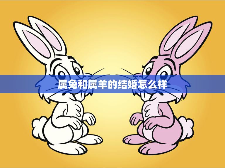 属兔和属羊的结婚怎么样(幸福美满的秘诀)  第3张