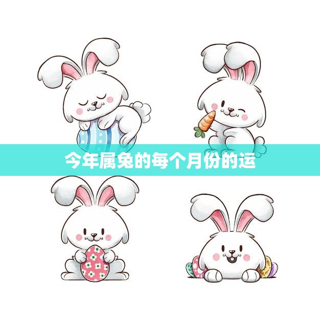 今年属兔的每个月份的运(如何把握好运)  第3张